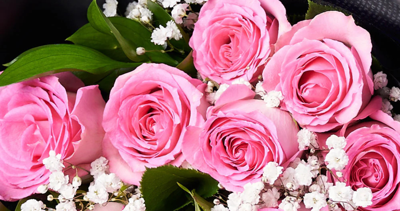 Pink Rose Bouquet Whispers in Blush: The Timeless Beauty of the Pink Rose Bouquet 1 Pink Rose Bouquet Whispers in Blush: The Timeless Beauty of the Pink Rose Bouquet